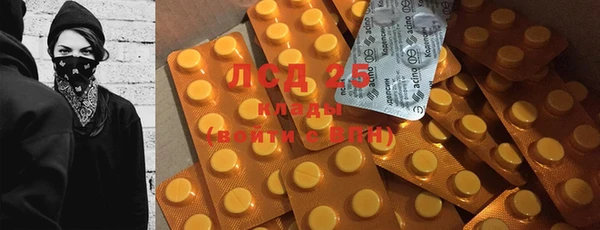 PSILOCYBIN Богородицк
