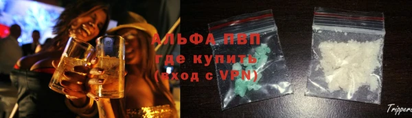 PSILOCYBIN Богородицк