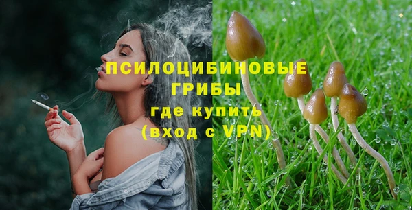 ПСИЛОЦИБИНОВЫЕ ГРИБЫ Богданович