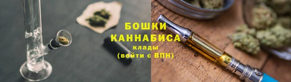 PSILOCYBIN Богородицк