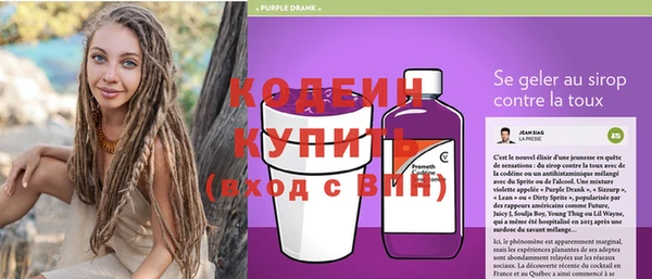ПСИЛОЦИБИНОВЫЕ ГРИБЫ Богданович