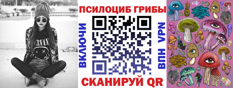 Галлюциногенные грибы Psilocybe Лосино-Петровский